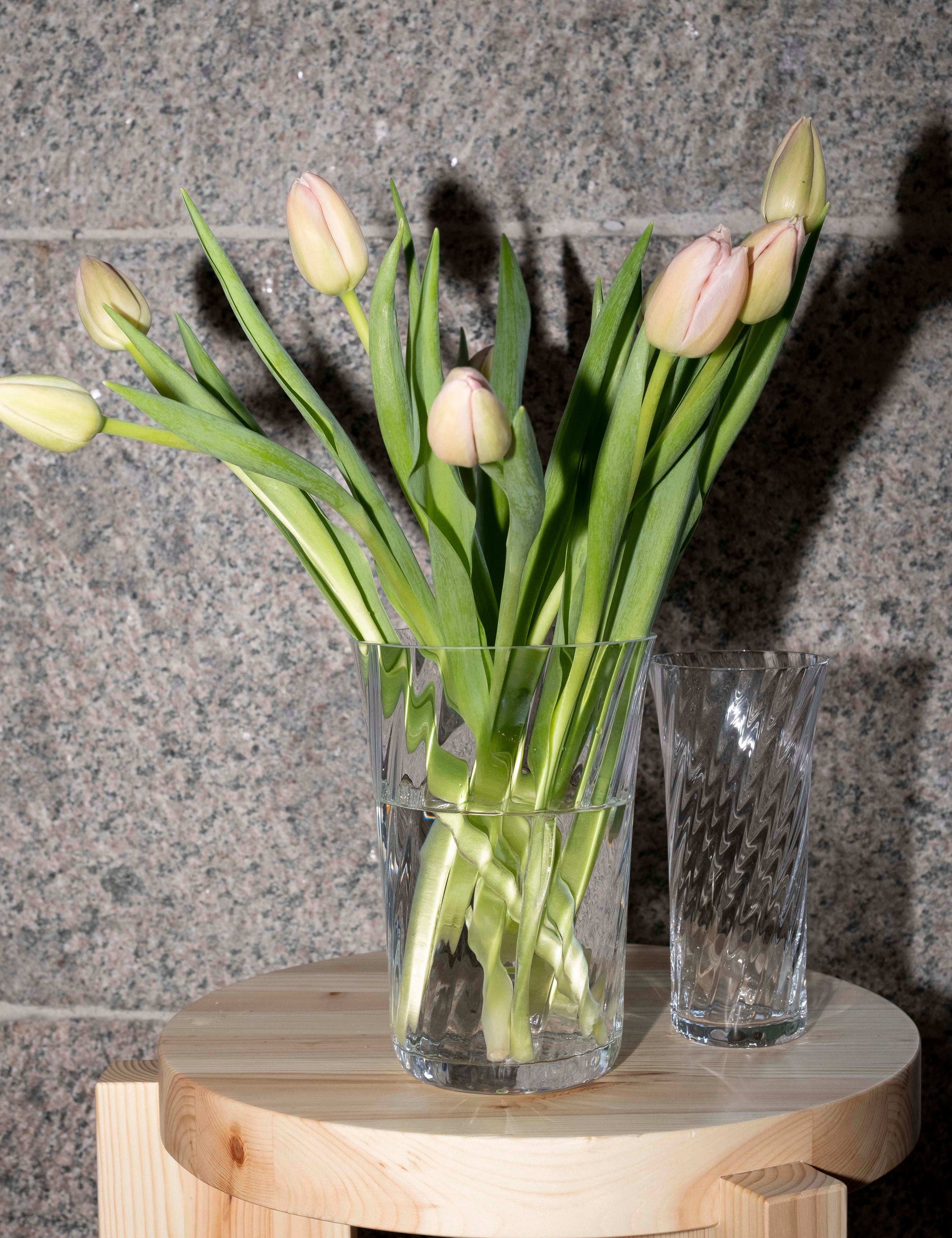 Stilleben Concave Vase - 20 cm⼁Swirl Vase Clear