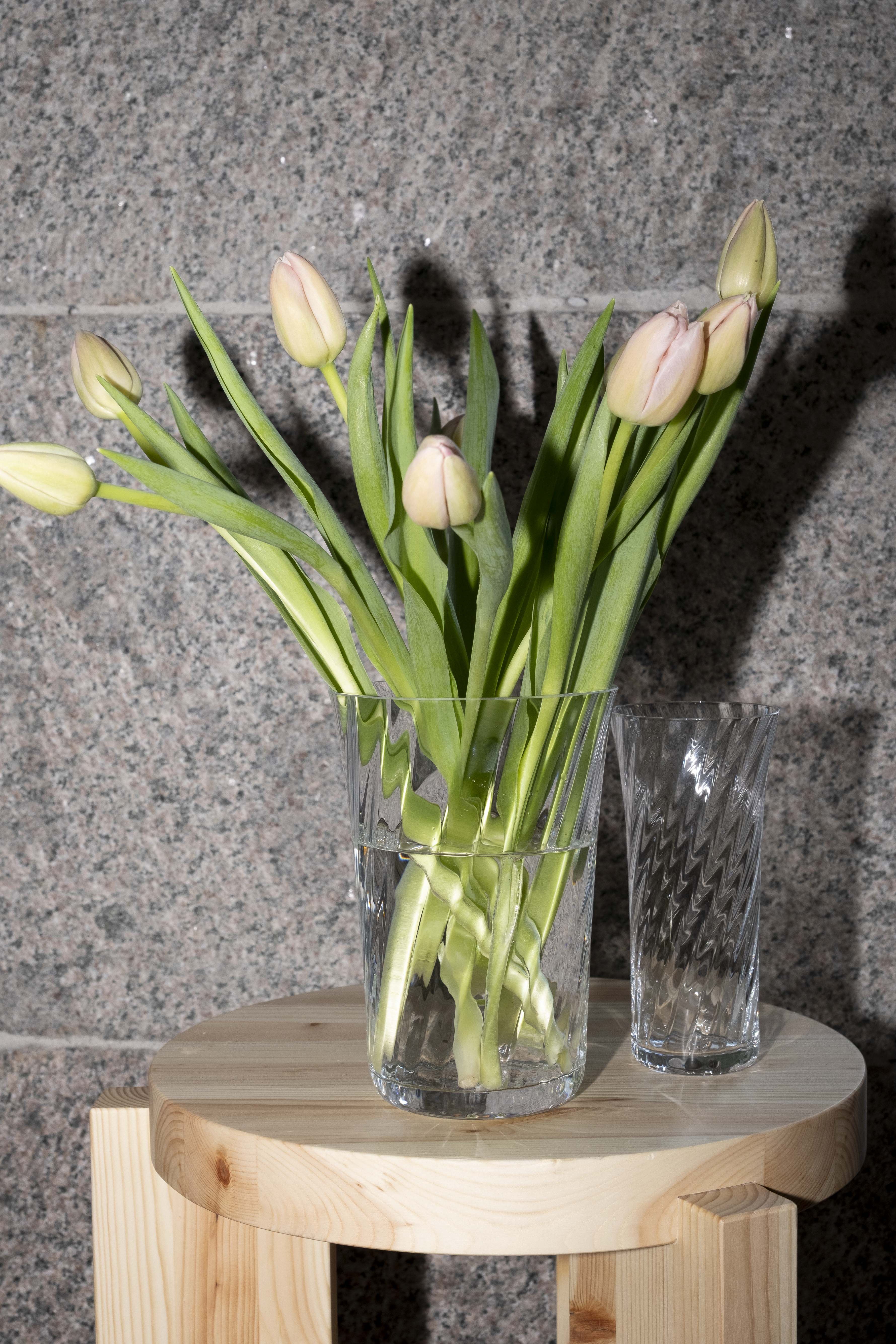 Stilleben Concave Vase - 20 cm⼁Swirl Vase Clear